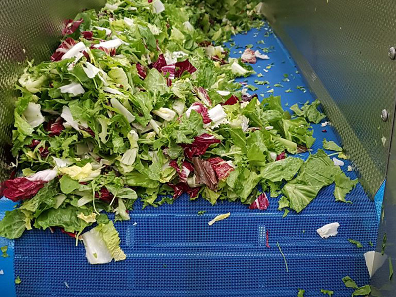 polyester plain screen for food washing (1).jpg