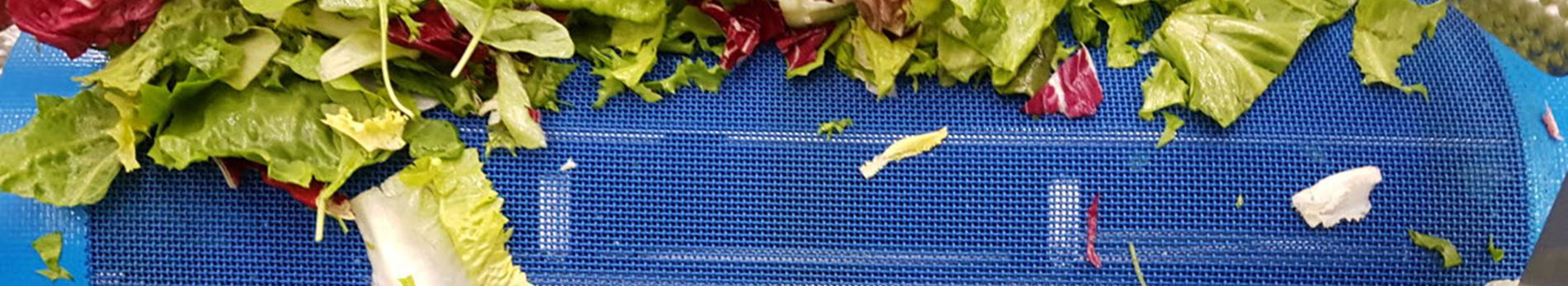 Food Industry Washing Process