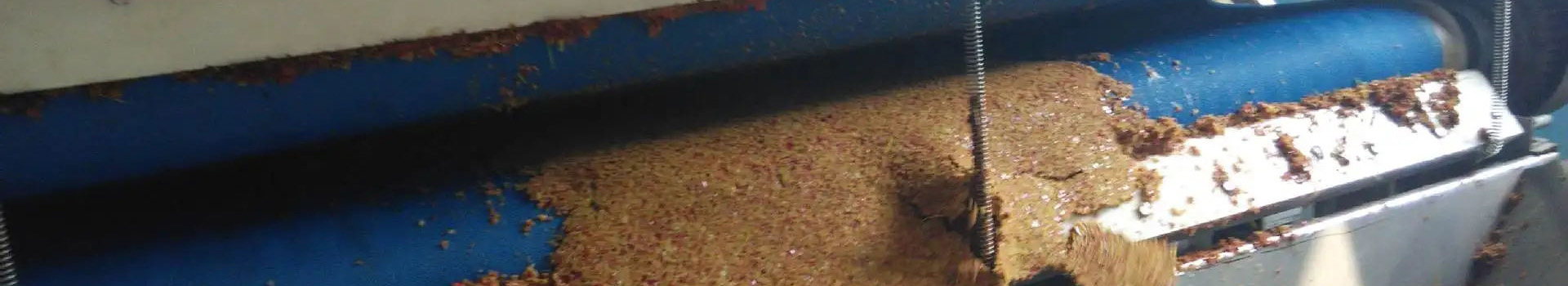 Producing Fruit Juices